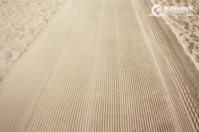 IMG 0815 copy